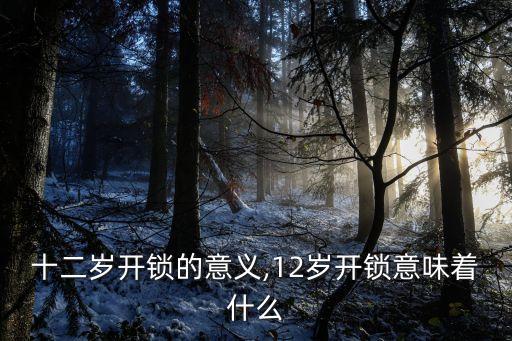 給孩子開鎖子是什么意思,山東開鎖子是什么意思...